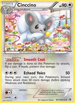 Cinccino