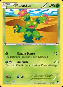 Maractus