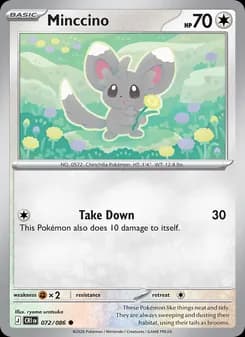 Minccino