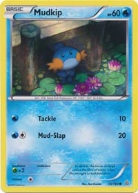Mudkip (Sheen Holo)