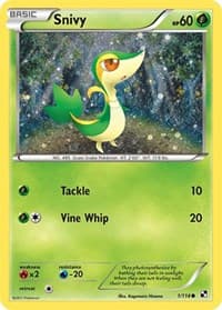 Snivy (Cosmos Holo)