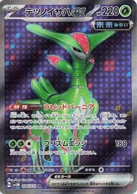 テツノイサハex
