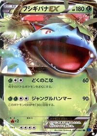 Venusaur EX