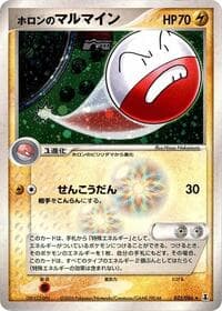 ホロンの電極