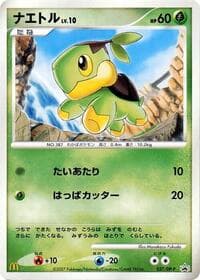 Turtwig