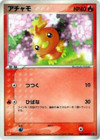 Torchic