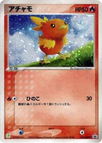 Torchic