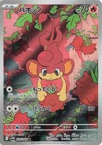 バオップ