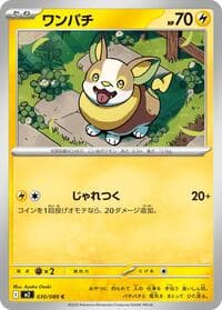 ワンパチ
