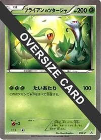 Snivy (Lawsons Original Customization Jumbo Card)