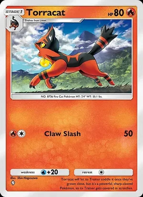 Torracat