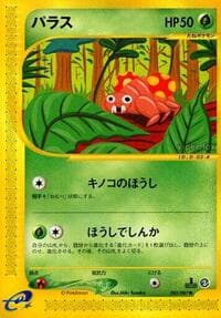 海からの風