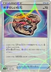 Rare Fossil (Mirror Holofoil)